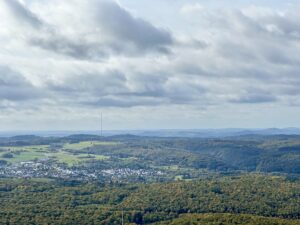 Kühkopf-Panorama 3